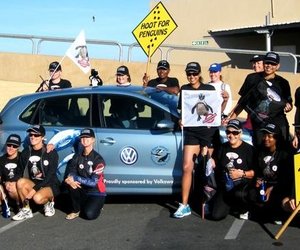 Stap vir Afrika Pikkewyn